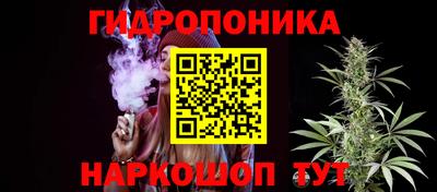 2c-b Канаш