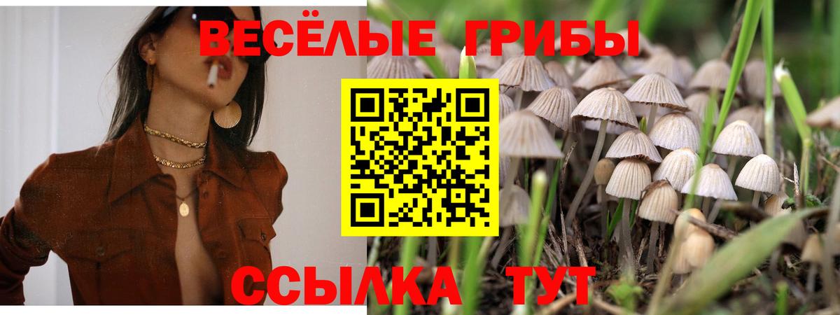 Галлюциногенные грибы Magic Shrooms  Галлюциногенные грибы ЛСД  Кушва  Вход с VPN 